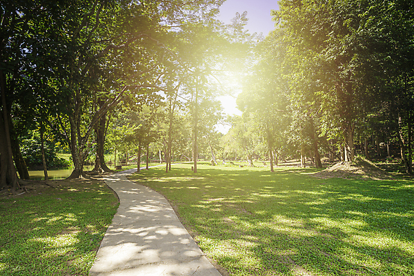 포토 JPG 해외이미지 나무 공원 도로 길 여행 백그라운드 컨셉 밭 골프 교통시설 자국 자연 하늘 풍경 잔디 사람없음 야외 초록색 여름 빛 달리기 햇빛 태양 정원 맑음 봄 줄무늬 산책 바위 거친 비교 오솔길 방향 사이클링 땅바닥 루트 방법 선로 줄서기 페어웨이 해외포토 자연요소 식물 계절 공공시설 컬러 교통 무늬 농업 모션 날씨 휴식 바닥 구기 돌_바위 육상스포츠 시설 생태계 파일형식 이미지허브