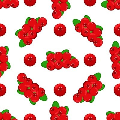 EPS 해외이미지 모양 열매 종이 음식 벽 백그라운드 패턴 과일 일러스트 자연 벽지 디저트 사탕 빨간색 여름 식사 주스 신선 달콤 맛 상품 인쇄 만화 먹기 피부 타일 메뉴 유기농 질감 레이아웃 날것 내추럴 고립 숙성 식용 크랜베리 포장소품 많음 해외일러스트 식물 웰빙 계절 음료 컬러 컨셉 무늬 포장 모션 신체부위 오브젝트 생태계 포장재료 파일형식 벡터 이미지허브