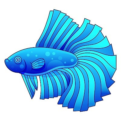 EPS 해외이미지 동물 디자인 남자 실루엣 음식 바다 백그라운드 패턴 일러스트 태국 자연 낚시 저울 어류 미술 그래픽 장식 빨간색 물 파란색 컬러풀 검은색 수중 수영 흰색 흰배경 그림 생물학 꼬리 싸움 베트남 지느러미 수족관 수탉 고립 엘리먼트 이국적 몽환 해외일러스트 자연요소 교육 아시아 컬러 컨셉 무늬 모션 레저 문화예술 촬영기법 사람 동남아시아 수중동물 수상스포츠 닭 수컷 생태계 파일형식 벡터 이미지허브