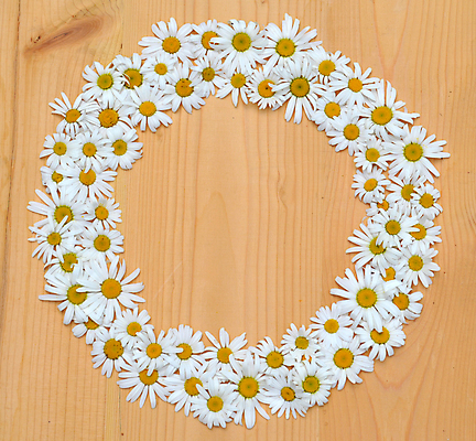 포토 JPG 해외이미지 식물 꽃잎 꽃 벽 꽃다발 백그라운드 꽃무늬 자연 왕관 프레임 사람없음 목재 장식 초록색 노란색 봄 수확 벚꽃 흰색 시골 축하 인사 신선 원형 다발 허브 데이지 초대 내추럴 구성 캐모마일 해외포토 도형 나무 계절 컬러 컨셉 무늬 농업 재료 예절 생태계 파일형식 이미지허브