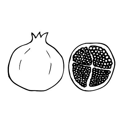EPS 해외이미지 선 음식 조각 백그라운드 다이어트 과일 일러스트 재료 자연 디저트 건강 씨앗 세트 정원 주스 흰색 투명 플랫 달콤 맛 낙서 만화 스케치 심볼 오브젝트 날것 윤곽 석류 내추럴 가넷 고립 이국적 채식주의자 해외일러스트 식물 음료 컬러 컨셉 미술 보석 생태계 채식 파일형식 벡터 문화예술 광석 이미지허브