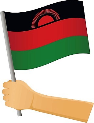 EPS 해외이미지 손 디자인 물결 일러스트 축하 깃발 잡기 플랫 작음 심볼 깃대 봉 애국심 고립 말라위 전국 해외일러스트 컨셉 모션 신체부위 크기 파일형식 벡터 이미지허브