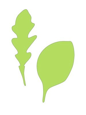 EPS 해외이미지 식물 손 디자인 음식 백그라운드 잎 농업 다이어트 채소 일러스트 재료 자연 건강 요리 그래픽 초록색 세트 주방 정원 샐러드 로켓 흰색 신선 양념 시장 인쇄 허브 향신료 오브젝트 메뉴 그림 유기농 날것 시금치 내추럴 고립 루꼴라 엘리먼트 채식주의자 해외일러스트 웰빙 산업 컬러 신체부위 생태계 채식 향미료 파일형식 벡터 사람 이미지허브
