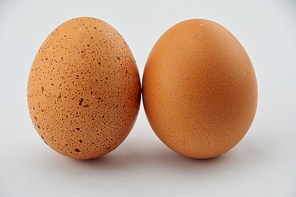 포토 JPG 해외이미지 동물 음식 백그라운드 재료 자연 조류 건강 서기 사람없음 세로 갈색 노란색 계란 치킨 껍질 흰색 아침식사 먹기 오브젝트 싱글 유기농 날것 고립 단백질 삶기 암탉 해외포토 웰빙 컬러 모션 알 식사 닭 암컷 생태계 닭고기요리 영양소 파일형식 이미지허브