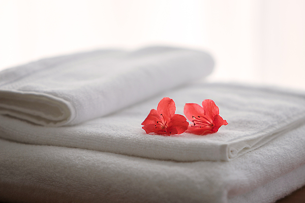 포토 JPG 해외이미지 디자인 꽃잎 꽃 백그라운드 자연 벽지 휴식 건강 사람없음 치료 장식 빨간색 여름 빛 수건 햇빛 우주 상점 스파 봄 흰색 신선 마사지 달콤 매끈함 진달래 명상 유기농 데이지 꽃가루 부드러움 테라피 내추럴 돌봄 스타일 미니멀리스트 해외포토 식물 웰빙 계절 컬러 컨셉 의학 모션 위생용품 태양 뷰티 감각 맛 가루 생태계 파일형식 이미지허브