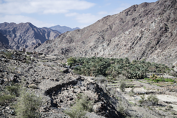 포토 JPG 해외이미지 모래 여행 자연 하늘 산 건조 풍경 사람없음 야외 관광지 야자수 농장 마을 골짜기 계곡 놀람 사막 탐험 거친 성 황무지 사파리 언덕 호기심 암초 아라비아 내추럴 아랍에미리트 깊이 오아시스 오지 원정 지질학 해외포토 나무 건축물 교육 감정 컨셉 농업 중동 표정 생태계 파일형식 이미지허브