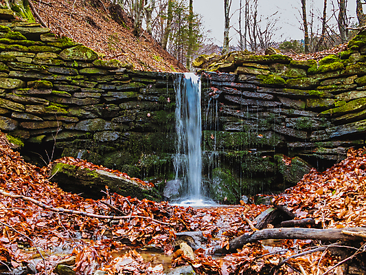 포토 JPG 해외이미지 나무 식물 공원 여행 자연 산 이끼 풍경 사람없음 야외 초록색 물 강 환경 골짜기 계곡 고요 봄 폭포 흐름 가을 바위 시골 연못 신선 개울 숲 작음 암초 내추럴 깊이 해외포토 자연요소 계절 공공시설 컬러 컨셉 돌_바위 크기 생태계 파일형식 이미지허브