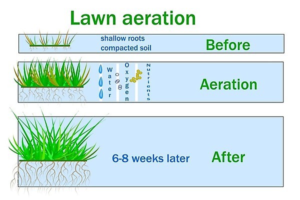 EPS 해외이미지 식물 디자인 계절 밭 농업 일러스트 회사 자연 설명 풍경 팜플렛 잔디 초록색 물 라벨 환경 정원 흙 인포그래픽 무대 성장 플랫 디자이너 서비스 유기농 원예 조경 단계 산소 땅바닥 방법 밭일 원예사 전후 해외일러스트 자연요소 직업 웰빙 산업 컬러 비즈니스 모션 바닥 프레임 취미 비교 원소 생태계 파일형식 벡터 이미지허브