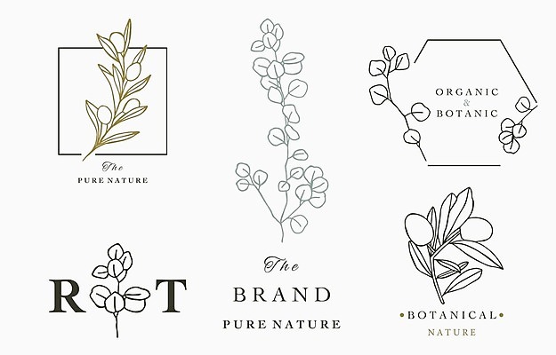 EPS 해외이미지 식물 줄기 잎 라인일러스트 일러스트 프레임 사람없음 세트 사각형 심볼 라인아트 올리브 육각형 해외일러스트 도형 열매 선 파일형식 벡터 이미지허브