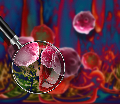 포토 JPG 해외이미지 돋보기 세포 건강 사람없음 파란색 3D 디지털 바이러스 질병 만들기 암 박테리아 종양 해외포토 컬러 의학 모션 디지털합성 파일형식 이미지허브