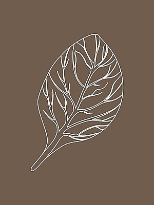 EPS 해외이미지 식물 손 디자인 선 음식 백그라운드 잎 농업 다이어트 채소 일러스트 재료 자연 건강 요리 미술 그래픽 초록색 세트 주방 정원 샐러드 수확 흰색 신선 양념 시장 허브 심볼 향신료 오브젝트 그림 유기농 날것 윤곽 시금치 판화 내추럴 고립 엘리먼트 채식주의자 해외일러스트 웰빙 산업 컬러 문화예술 신체부위 생태계 채식 향미료 파일형식 벡터 이미지허브