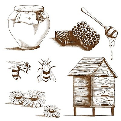 EPS 해외이미지 손 디자인 꽃 포스터 음식 곤충 컨셉 일러스트 자연 디저트 건강 그래픽 여름 세트 숟가락 수확 신선 항아리 그룹 플랫 달콤 맛 낙서 냄비 상품 만화 스케치 벌 수집 그림 유기농 레이아웃 복고 팩 꿀 벌집 내추럴 조립 고립 밀랍 엘리먼트 해외일러스트 식물 동물 웰빙 계절 농업 수저 미술 신체부위 화장품 도자기 솥 생태계 파일형식 벡터 이미지허브