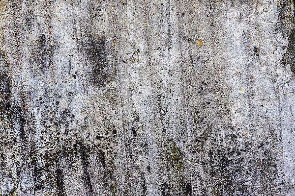 포토 JPG 해외이미지 나무 디자인 벽 백그라운드 패턴 건축양식 자연 유리 벽지 표면 사람없음 물 갈색 검은색 어둠 공백 회색 수확 거친 균열 닫기 떨어짐 묘사 질감 대리석 시멘트 그런지 석고 옛날 콘크리트 화강암 카피스페이스 해외포토 자연요소 식물 건축 컬러 컨셉 무늬 농업 재료 모션 재질 암석 생태계 파일형식 이미지허브