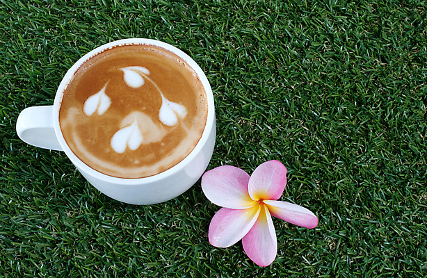 포토 JPG 해외이미지 디자인 꽃 커피 음료 백그라운드 디저트 건강 미술 사람없음 컵 초록색 갈색 냉동 검은색 이탈리아 카페 추위 흰색 신선 뜨거움 달콤 질감 시럽 라떼 엘리먼트 스타일 해외포토 식물 식기 유럽 음식 컬러 문화예술 상점 맛 파일형식 이미지허브