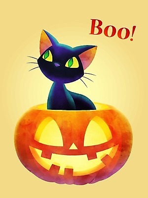 EPS 해외이미지 모양 동물 템플릿 캐릭터 디자인 배너 포스터 얼굴 백그라운드 컨셉 일러스트 호박 추상 휴가 수채화 선물 미소 그래픽 장식 책 파티 검은색 고양이 어둠 할로윈 덮개 등불 축하 인사 신용카드 야간 무서움 만화 그림 질감 초대 마법 잭 10월 고립 해외일러스트 일러캐릭터 자연요소 감정 컬러 무늬 채소 포유류 조명 표정 이벤트 신체부위 금융 반려동물 뚜껑 예절 날짜 파일형식 벡터 이미지허브