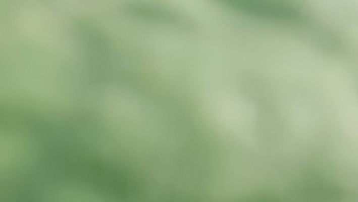 포토 JPG 해외이미지 나무 식물 템플릿 배너 계절 지구 백그라운드 잎 자연 벽지 추상 휴식 경사 사람없음 그래픽 초록색 빛 햇빛 태양 환경 정원 봄 에너지 흰색 신선 매끈함 소프트포커스 질감 보케 부드러움 개발 바이오 블러 생태학 그리너리 효과 해외포토 자연요소 교육 컬러 컨셉 무늬 촬영기법 감각 생태계 파일형식 트랜드컬러 이미지허브