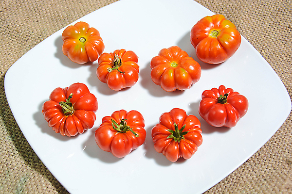 포토 JPG 해외이미지 음식 토마토 방울토마토 사람없음 이탈리아음식 토마토소스 건강식 해외포토 채소 서양음식 소스_음식 파일형식 이미지허브