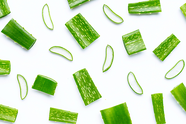 포토 JPG 해외이미지 스튜디오촬영 단면 실내 사람없음 하이앵글 흰배경 알로에 해외포토 식물 뷰포인트 백그라운드 내부 흰색 파일형식 이미지허브