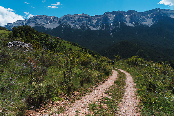 포토 JPG 해외이미지 나무 1 공원 길 여행 자연 하늘 바람 산 한명 풍경 야외 초록색 햇빛 평화 카메라 힘 침묵 산책 손상 하이킹 죽음 숲 오솔길 모험가 사진사 폭풍 탐사 전국 하이커 혼자 해외포토 자연요소 식물 공공시설 컬러 컨셉 레저 날씨 휴식 사람 전자제품 태양 소리 작가 생태계 파일형식 이미지허브