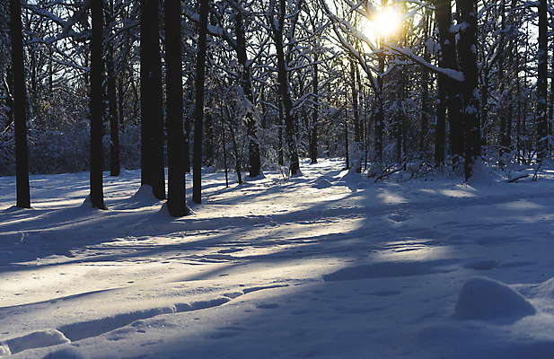 포토 JPG 해외이미지 나무 계절 공원 백그라운드 크리스마스 겨울 자연 하늘 날씨 풍경 사람없음 야외 목재 가로 파란색 빛 햇빛 태양 일출 맑음 얼음 일몰 추위 흰색 신선 숲 서리 장면 자작나무 내추럴 눈내림 해외포토 자연요소 식물 공공시설 기념일 컬러 재료 눈_날씨 노을 생태계 파일형식 이미지허브