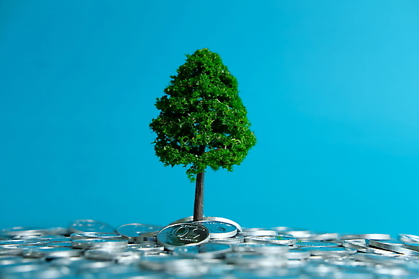 포토 JPG 해외이미지 나무 식물 백그라운드 컨셉 돈 비즈니스 성공 사람 사람없음 초록색 금융 경제 장난감 숫자 쌓기 계단 동전 미니어처 저축 성장 시장 재산 황금 계획 주식 무역 투자 이익 해결 회계 빚 경영 골 수입 위기 해외포토 문자 산업 컬러 모션 모형 파일형식 이미지허브