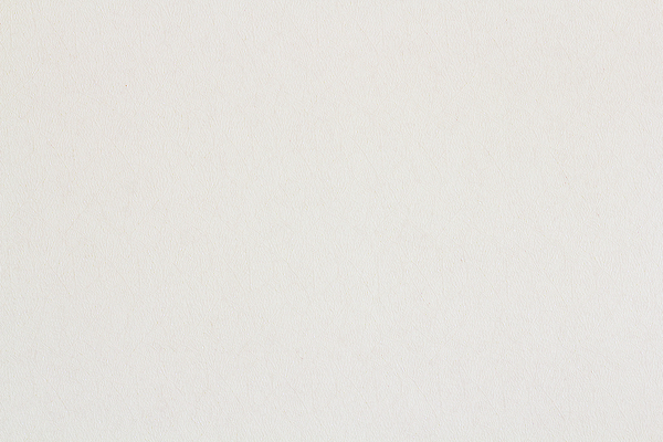 포토 JPG 해외이미지 디자인 선 백그라운드 잎 패턴 일러스트 건축양식 자연 벽지 추상 주택 미술 사람없음 내부 그래픽 장식 흰색 직물 묘사 질감 스타일 카피스페이스 해외일러스트 식물 건축 컬러 무늬 문화예술 건물 공백 생태계 파일형식 이미지허브