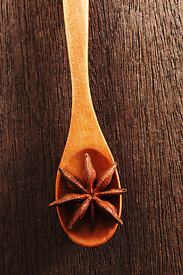 포토 JPG 해외이미지 계절 별 음식 재료 씨앗 사람없음 목재 세로 하이앵글 컬러풀 갈색 숟가락 약재 양념 향신료 꼬투리 해외포토 자연요소 나무 식물 뷰포인트 컬러 수저 약 향미료 파일형식 이미지허브