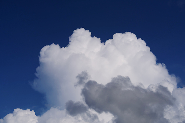 포토 JPG 해외이미지 구름 계절 하늘색 백그라운드 자연 하늘 날씨 풍경 사람없음 야외 여름 파란색 빛 햇빛 우주 환경 맑음 안개 가을 흰색 분위기 수분 천국 솜털 흐림 해외포토 자연요소 컬러 컨셉 태양 생태계 파일형식 이미지허브