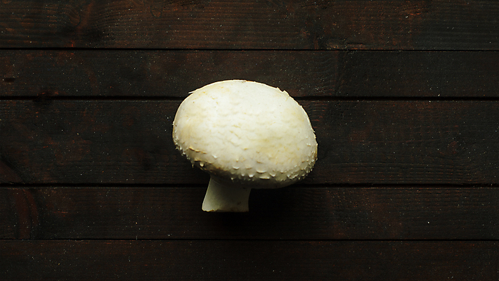 포토 JPG 해외이미지 식물 계절 음식 백그라운드 탁자 치즈 파슬리 건강 요리 사람없음 목재 우주 주방 저녁식사 버섯 가을 흰색 신선 플랫 맛 수프 정상 숲 크림 오브젝트 유기농 날것 내추럴 그물버섯 식용 채식주의자 비건 미니멀 해외포토 나무 웰빙 컬러 가구 컨셉 채소 재료 유제품 식사 채식 파일형식 이미지허브