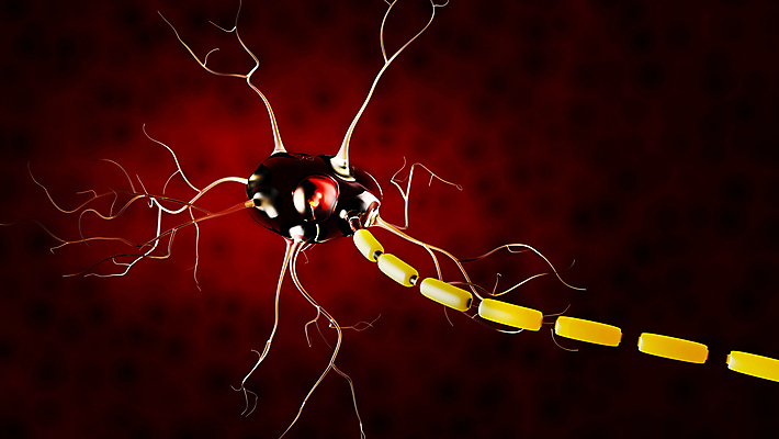 포토 JPG 해외이미지 과학 신체 일러스트 해부 세포 건강 사람 사람없음 그래픽 인포그래픽 고통 정보 오르간 코드 불안 피부 척추 뇌 그림 신호 시스템 암 해외일러스트 감정 의학 뼈 신체부위 건반악기 질병 파일형식 이미지허브