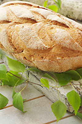 포토 JPG 해외이미지 전통 음식 농업 다이어트 탁자 건강 씨앗 사람없음 목재 세로 갈색 쌓기 마을 검은색 식사 어둠 빵집 수확 껍질 흰색 시골 신선 원형 맛 아침식사 낟알 시리얼 밀 굽기 먹기 유기농 슬라이스 밀가루 섬유 자작나무 덩어리 내추럴 번 핸드메이드 호밀 귀리 해외포토 도형 나무 식물 웰빙 산업 빵 컬러 가구 컨셉 재료 모션 곡류 상점 직물 가루 구이 파일형식 이미지허브