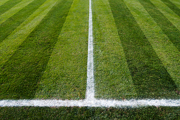 포토 JPG 해외이미지 식물 선 스포츠 백그라운드 밭 공 자연 하늘 사람없음 야외 초록색 축구 경기장 게임 흰색 놀이터 땅 질감 내추럴 골 땅바닥 해외포토 컬러 농업 스포츠시설 놀이 바닥 구기 생태계 파일형식 이미지허브