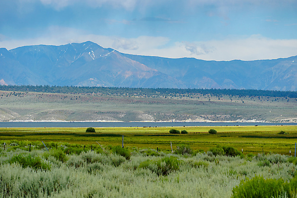 포토 JPG 해외이미지 공원 호수 여행 백그라운드 자연 하늘 휴가 산 풍경 사람없음 야외 초록색 물 여름 파란색 컬러풀 환경 계곡 미국 침묵 하이킹 사막 시골 습지 언덕 캘리포니아 멸종위기동물 내추럴 매머드 감탄 전국 수평선 해외포토 자연요소 동물 계절 공공시설 컬러 북아메리카 레저 소리 생태계 파일형식 멸종위기종 이미지허브