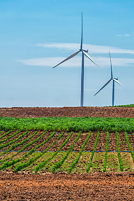 포토 JPG 해외이미지 식물 실루엣 산업 아시아 태국 바람 동양인 사람없음 초록색 글로벌 농장 환경 탑 금속 힘 일몰 재활용 풍차 발전기 에너지 행운 칼날 역 보호 생태계 프로펠러 자원 세대 유지 방앗간 혁명 개발 생태학 효율 공급 해외포토 자연요소 건축물 교육 나라 컬러 컨셉 농업 교통시설 재질 날씨 촬영기법 인종 노을 발전소 친환경 파일형식 이미지허브