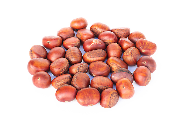 포토 JPG 해외이미지 식물 계절 음식 백그라운드 과일 재료 자연 건강 씨앗 사람없음 갈색 우주 견과류 수확 껍질 가을 흰색 신선 달콤 맛 정상 굽기 유기농 날것 흙더미 내추럴 고립 식용 채식주의자 해외포토 웰빙 컬러 컨셉 농업 흙 구이 생태계 채식 파일형식 더미 이미지허브