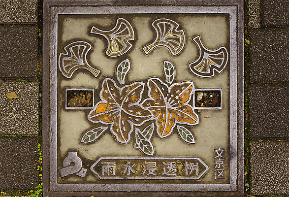 포토 JPG 해외이미지 모양 디자인 꽃 산업 아시아 무기 잎 바닥 사람없음 야외 장식 초록색 갈색 노란색 금속 일본 사진촬영 산책 블록 덮개 도시 도쿄 철 심볼 질감 정사각형 내추럴 구식 중고 철강 화강암 해외포토 도형 식물 나라 컬러 재질 휴식 촬영 뚜껑 암석 파일형식 이미지허브