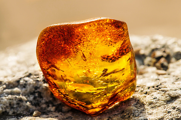 포토 JPG 해외이미지 자연 사람없음 빛 주황색 투명 보석 화석 앰버 해외포토 컬러 광석 생태계 파일형식 이미지허브