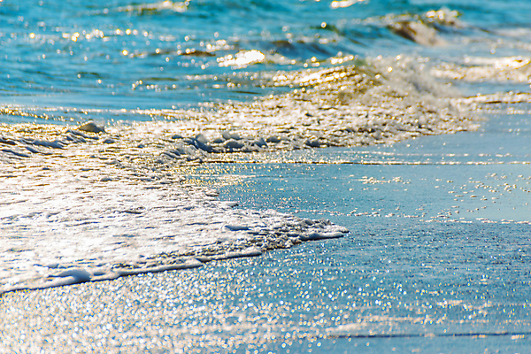 포토 JPG 해외이미지 모래 파도 바다 여행 백그라운드 자연 조류 표면 날씨 휴가 휴식 해변 사람없음 물 빛 햇빛 반사 거품 에너지 흰색 만 뜨거움 서핑 황금 닫기 떨어짐 매끈함 질감 웨이브 남쪽 석호 내추럴 파라다이스 해외포토 자연요소 동물 컬러 컨셉 모션 태양 수상스포츠 감각 방향 생태계 파일형식 이미지허브