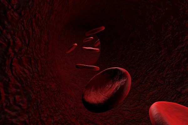 포토 JPG 해외이미지 세포 사람없음 3D 혈관 적혈구 혈구 해외포토 장기_의학 디지털합성 파일형식 이미지허브