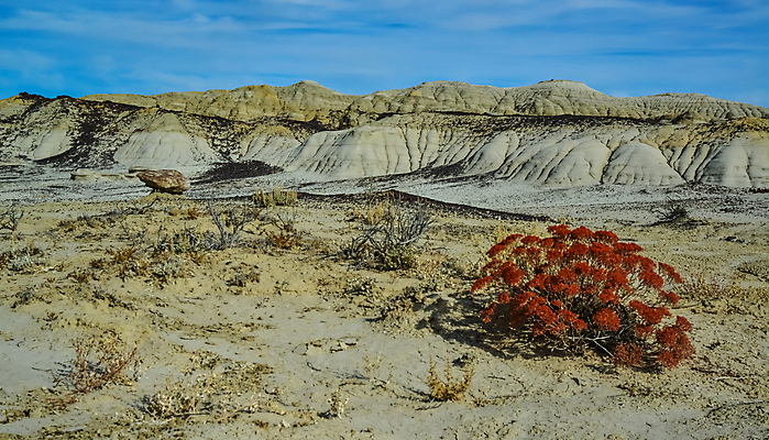포토 JPG 해외이미지 공원 자연 산 멕시코 건조 국립공원 풍경 사람없음 야외 가로 스터디 계곡 미국 사막 탐험 외계인 가을 바위 황무지 사암 뉴멕시코 전국 지질학 특별함 해외포토 계절 공공시설 교육 컨셉 북아메리카 학습 미확인물체 돌_바위 생태계 파일형식 이미지허브