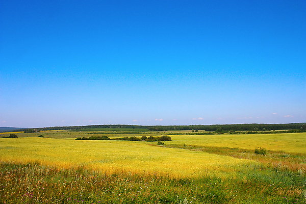 포토 JPG 해외이미지 나무 식물 백그라운드 농업 자연 하늘 파노라마 풍경 사람없음 야외 가로 초록색 여름 파란색 햇빛 노란색 환경 맑음 시골 고독 언덕 장면 멀리 내추럴 혼자 해외포토 계절 감정 산업 컬러 날씨 촬영기법 태양 생태계 파일형식 이미지허브
