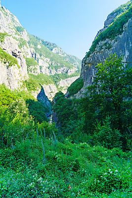 포토 JPG 해외이미지 나무 유럽 도로 2 자연 산 안테나 풍경 사람없음 목재 초록색 물 강 골짜기 계곡 흐름 바위 황무지 언덕 내추럴 몬테네그로 해외포토 자연요소 식물 나라 길 컬러 컨셉 재료 통신 교통시설 돌_바위 생태계 파일형식 이미지허브