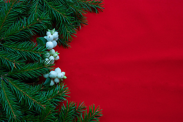 포토 JPG 해외이미지 나무 전통 디자인 배너 계절 열매 행복 백그라운드 컨셉 크리스마스 겨울 자연 벽지 추상 휴가 새로움 새해 아이디어 프레임 사람없음 장식 빨간색 초록색 유행 수확 흰색 나뭇가지 시골 인사 소나무 12월 연도 질감 1월 고립 노엘 가문비나무 카피스페이스 미니멀 해외포토 식물 기념일 감정 컬러 무늬 농업 공백 예절 날짜 생태계 파일형식 이미지허브