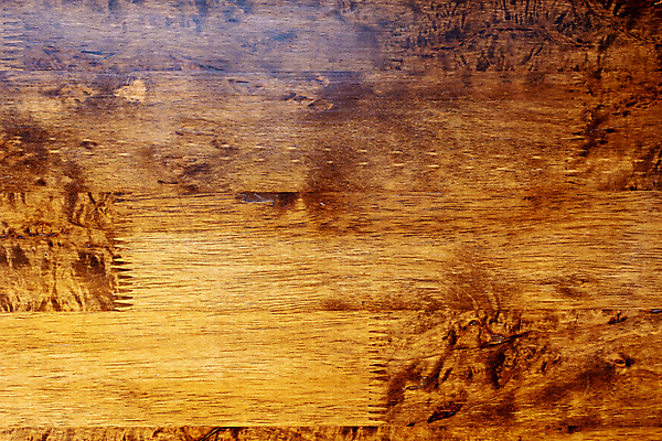 포토 JPG 해외이미지 나무 디자인 외관 벽 백그라운드 패턴 자연 벽지 탁자 표면 추상 바닥 프레임 사람없음 목재 장식 갈색 어둠 공백 수확 골동품 소나무 판넬 얼룩 거친 널 낟알 타일 책상 질감 복고 목공예 내추럴 구식 그런지 수목 엘리먼트 옛날 파케트 해외포토 식물 컬러 가구 무늬 농업 재료 공예 생태계 파일형식 이미지허브