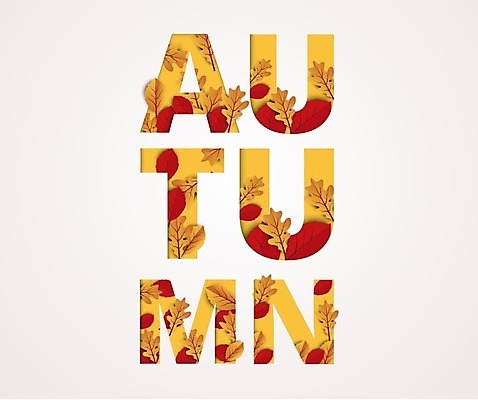 EPS 해외이미지 영어 단풍 낙엽 일러스트 타이포그라피 사람없음 주황색 가을 해외일러스트 문자 계절 컬러 잎 파일형식 벡터 이미지허브