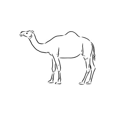 EPS 해외이미지 동물 디자인 야생동물 선 모래 여행 백그라운드 일러스트 포유류 교통시설 아프리카 자연 동물원 이집트 미술 그래픽 검은색 가축 사막 수확 흰색 승차 만화 스케치 사파리 사인 그림 복고 낙타 손그림 아라비아 판화 혹 사하라 고립 단봉낙타 아랍어 해외일러스트 나라 컬러 교통 농업 모션 문화예술 시설 생태계 파일형식 벡터 이미지허브