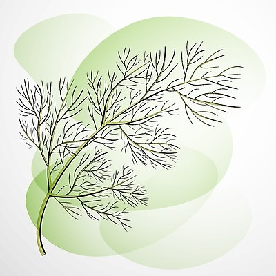 EPS 해외이미지 식물 전통 디자인 꽃 실루엣 음식 줄기 백그라운드 잎 크리스마스 농업 일러스트 자연 휴가 파슬리 요리 미술 목재 빨간색 초록색 주방 수확 흰색 나뭇가지 신선 고명 양념 스케치 허브 향신료 유기농 향 딜 엘리먼트 회향 그리너리 해외일러스트 나무 웰빙 기념일 산업 컬러 채소 재료 문화예술 촬영기법 생태계 향미료 파일형식 벡터 트랜드컬러 이미지허브
