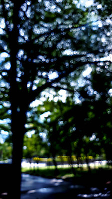 포토 JPG 해외이미지 나무 식물 디자인 계절 공원 백그라운드 컨셉 잎 패턴 자연 벽지 하늘 추상 사람없음 야외 아웃포커스 초록색 빛 컬러풀 햇빛 태양 환경 정원 봄 소프트포커스 숲 질감 보케 장면 부드러움 블러 생태학 효과 해외포토 자연요소 공공시설 교육 컬러 무늬 촬영기법 감각 생태계 파일형식 이미지허브