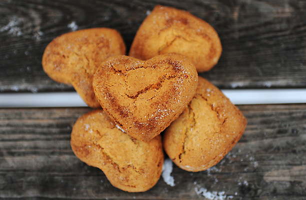 포토 JPG 해외이미지 모양 음식 백그라운드 크리스마스 겨울 휴가 디저트 발렌타인데이 사랑 사람없음 목재 파란색 갈색 쿠키 흰색 하트 달콤 심볼 고립 소셜네트워크 시나몬 스타일 해외포토 나무 계절 기념일 감정 컬러 재료 데이이벤트 맛 파일형식 이미지허브