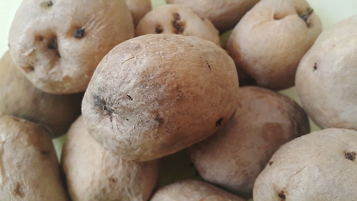 포토 JPG 해외이미지 잡화 음식 백그라운드 다이어트 채소 재료 자연 감자 건강 요리 사람없음 갈색 쌓기 정원 껍질 가을 시골 신선 그룹 시장 유기농 날것 흙더미 내추럴 고립 녹말 밭일 생식 식용 채식주의자 탄수화물 공급 비건 해외포토 웰빙 계절 컬러 모션 흙 생태계 채식 파일형식 더미 이미지허브